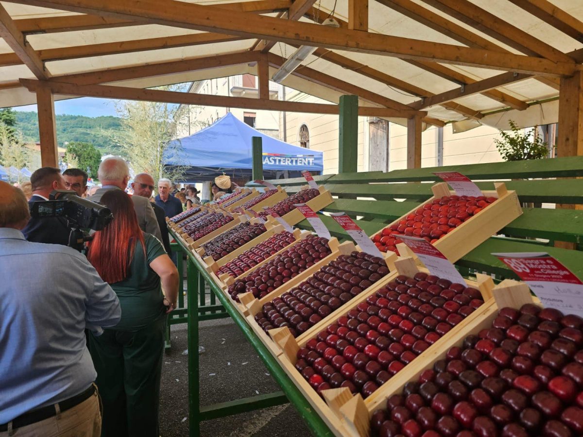 Un banco di ciliegie alla Sagra di Montecchia di Crosara.
