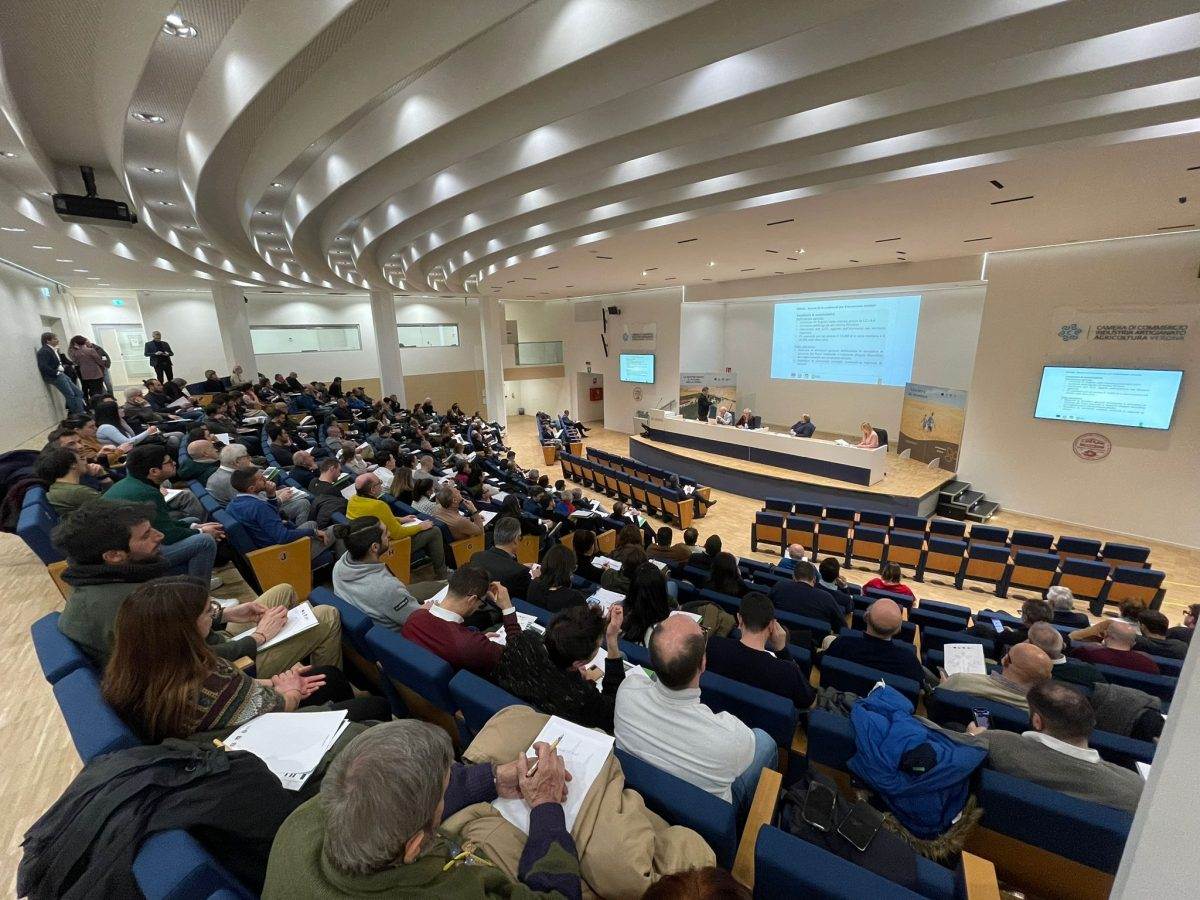 L'auditorium 